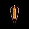 Dimbare EDISON LED lamp - E27