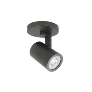 mischa-spot-1-lichts-lampencompleet-plafondlamp