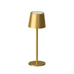 roxi-goud-oplaadbaar-USB-lampencompleet