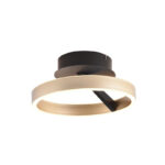 otto-plafondlamp-zwart-goud-rond-kantelbaar-lampencompleet-30cm