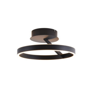 otto-plafondlamp-zwart-rond-kantelbaar-lampencompleet-40cm
